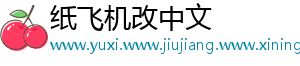 纸飞机改中文